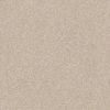 موكيت بيج امريكي EA814 743s my haven