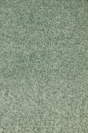 NADA VALSPER Green(105) Green Indian Carpet