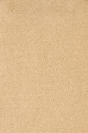 JASMIN HALO(202) White Indian Carpet