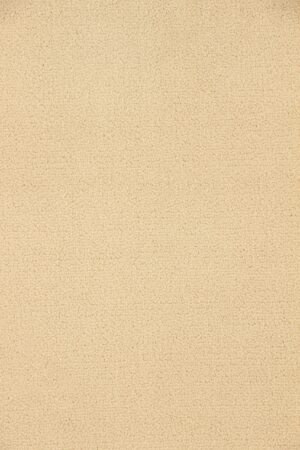 JASMIN PORCELAINE(203) White Indian Carpet