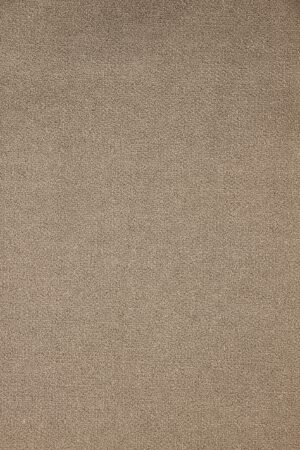 JASMIN STORM (206) Gray Indian Carpet