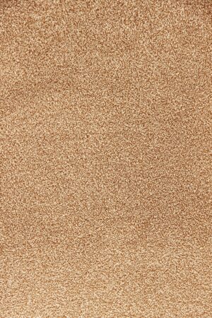 JASMIN PORCELAIN + GOLDEN ROD (207) Brown Indian Carpet