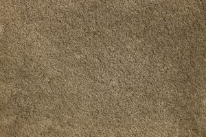 NEOM ALLOY PET-1527F Gray Indian Carpet