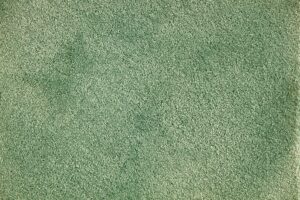 NEOM DD 5569 VALSPAR Green Green Indian Carpet