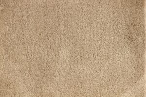NEOM 2765 CREAM 01043 Beige Indian Carpet