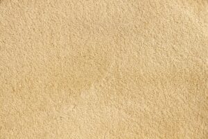 NEOM TURTLE COMBER White Indian Carpet