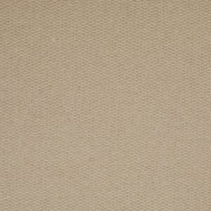 Dutch Carpet / manilla /62