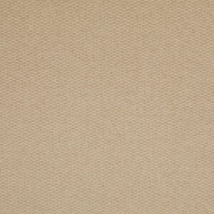 Dutch Carpet / manilla /64