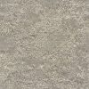 American Carpet – tavares  - shalestone 00542